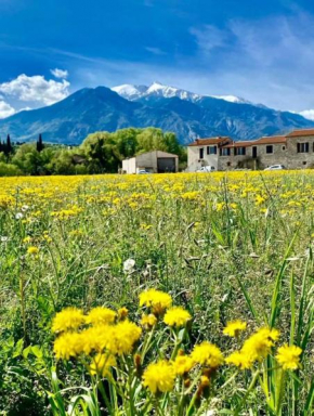 Gite Le Canigou 3* dans un Mas typique catalan, Prades